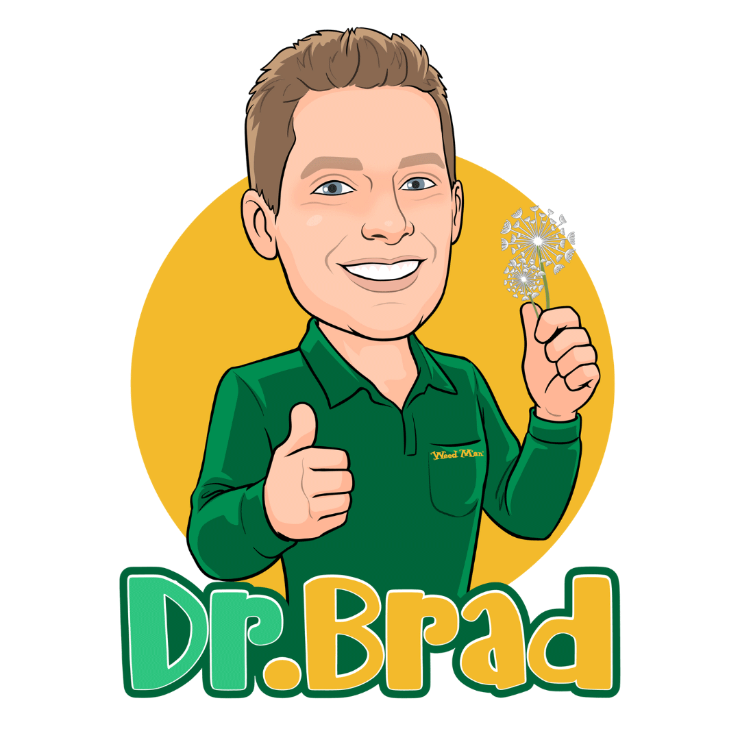 Dr Brad